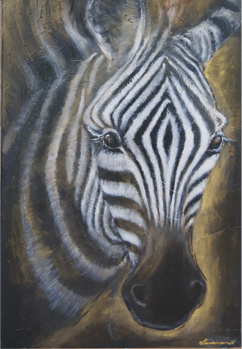 Zebra